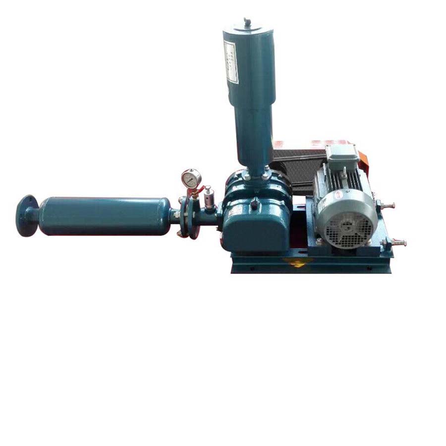 NSRH 300 roots blower