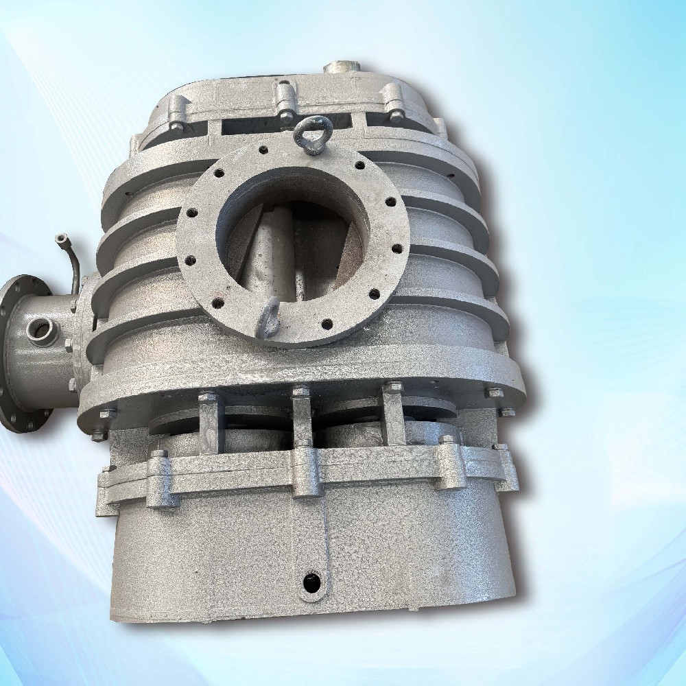 NSRH-250 Roots Blower